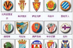 莱尔斯加盟皇马：NBA自由市场新星挑战西甲舞台