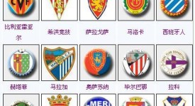 莱尔斯加盟皇马：NBA自由市场新星挑战西甲舞台